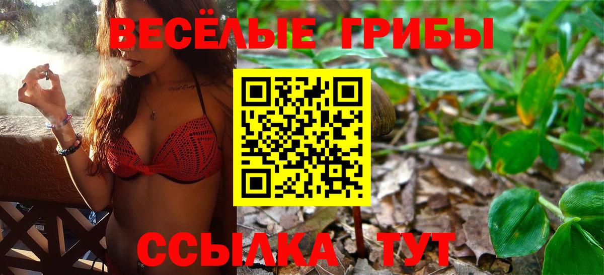 Псилоцибиновые грибы Cubensis  Псилоцибиновые грибы прущие грибы  Сыктывкар  Вход с VPN 