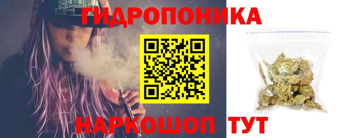 Канабис семена Сыктывкар